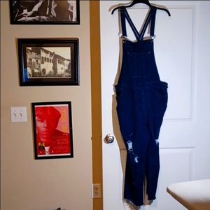 Forever 21 Denim Overalls